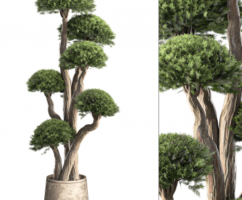 Modern Ground Green Plant Potted Plants-ID:902931932