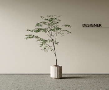 Modern Ground Green Plant Potted Plants-ID:116357098