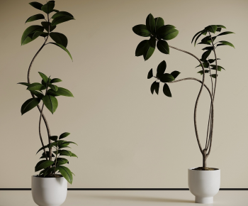 Modern Ground Green Plant Potted Plants-ID:225974089