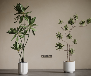 Modern Ground Green Plant Potted Plants-ID:745409974