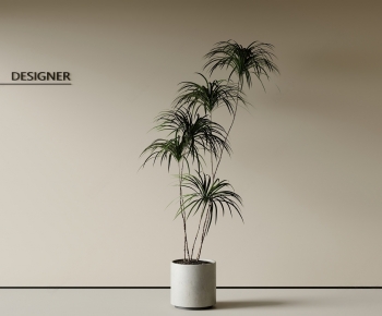 Modern Ground Green Plant Potted Plants-ID:625228974