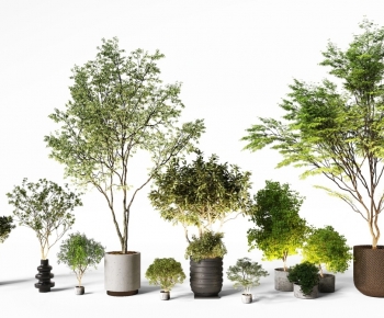 Modern Ground Green Plant Potted Plants-ID:241138915