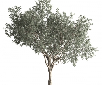 Modern Tree-ID:955065016