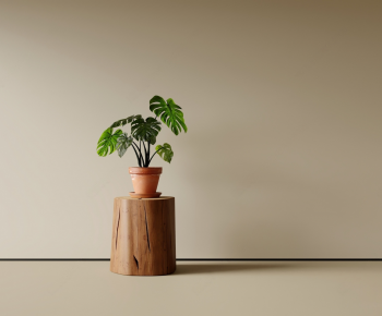 Modern Potted Green Plant-ID:428172117