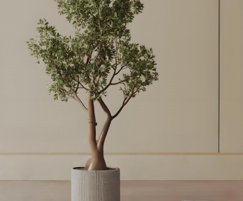 Modern Ground Green Plant Potted Plants-ID:903770922