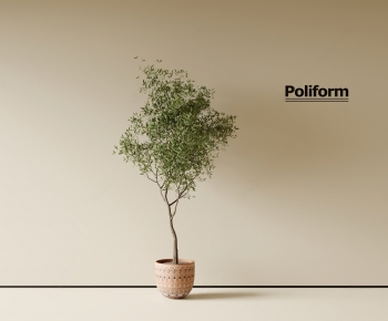 Modern Ground Green Plant Potted Plants-ID:299968963