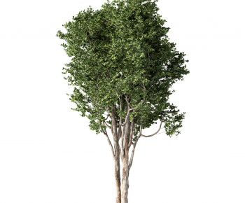 Modern Tree-ID:694430115