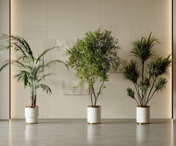 Modern Ground Green Plant Potted Plants-ID:197079228