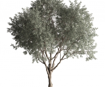 Modern Tree-ID:155720955
