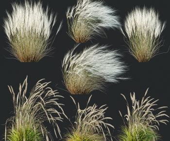 Modern The Grass-ID:933175095