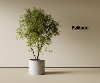 Modern Ground Green Plant Potted Plants-ID:569911963