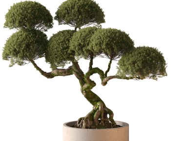 New Chinese Style Bonsai-ID:573474884