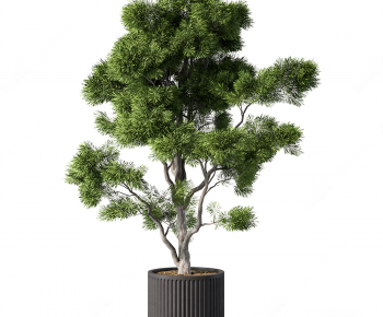 Modern Ground Green Plant Potted Plants-ID:677226079