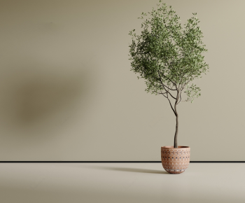 Modern Ground Green Plant Potted Plants-ID:778083095