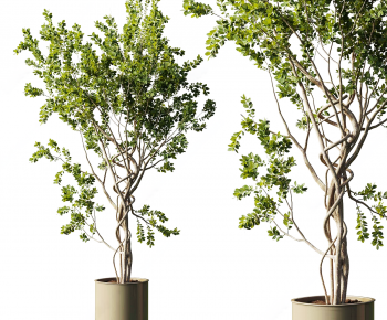 Modern Ground Green Plant Potted Plants-ID:706479079