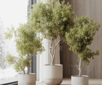 Modern Ground Green Plant Potted Plants-ID:466209897