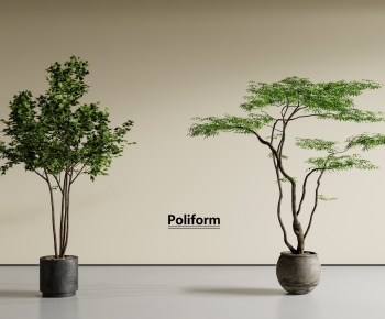 Modern Ground Green Plant Potted Plants-ID:370853909