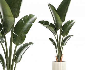 Modern Ground Green Plant Potted Plants-ID:132601025