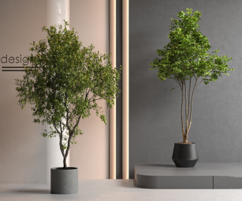Modern Ground Green Plant Potted Plants-ID:921969898
