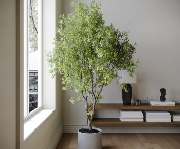 Modern Ground Green Plant Potted Plants-ID:787116054