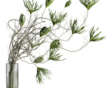 Modern Aquatic Green Plant-ID:293016914