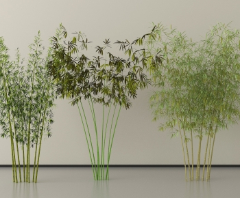 Modern Bamboo-ID:243120918