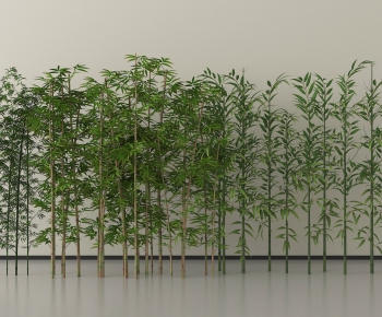 Modern Bamboo-ID:651458984