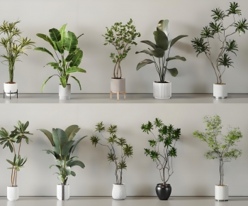 Modern Ground Green Plant Potted Plants-ID:110668906