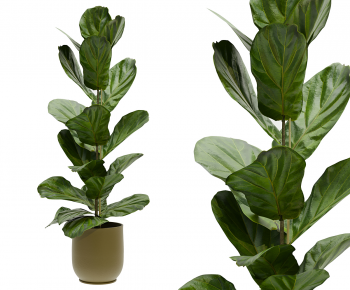 Modern Ground Green Plant Potted Plants-ID:177166948