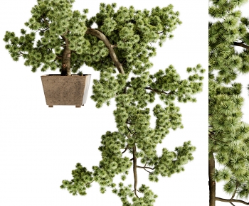 New Chinese Style Bonsai-ID:777700903