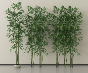 Modern Bamboo-ID:672596939