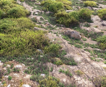 Modern Landscape-ID:610248093