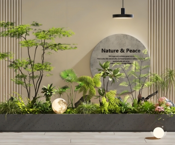 Modern Plant Landscaping-ID:748600015