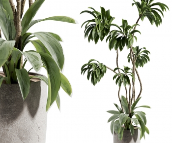 Modern Ground Green Plant Potted Plants-ID:492410763