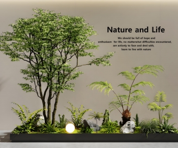 Modern Plant Landscaping-ID:277938849