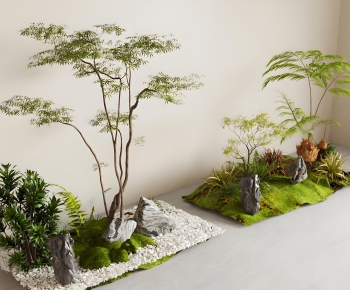 Modern Plant Landscaping-ID:186506998