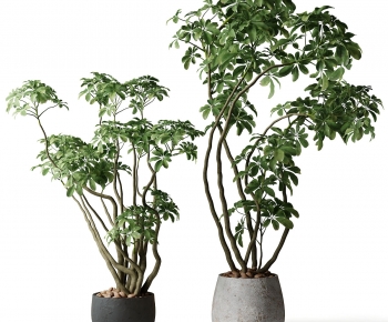 Modern Ground Green Plant Potted Plants-ID:541766884