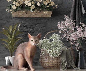 Modern Animal Cat-ID:484766963