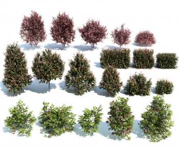 Modern Shrubbery-ID:675633912