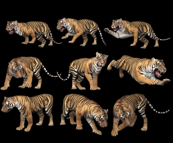 Modern Mammal-ID:650466922