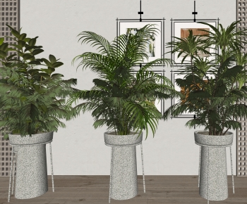 Modern Ground Green Plant Potted Plants-ID:289437063