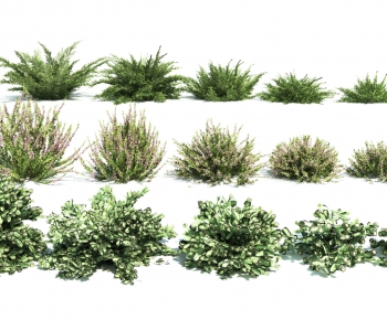 Modern Shrubbery-ID:558692936