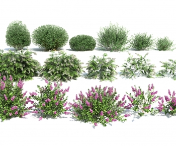 Modern Shrubbery-ID:792953977