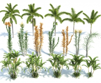 Modern Tree-ID:378880024