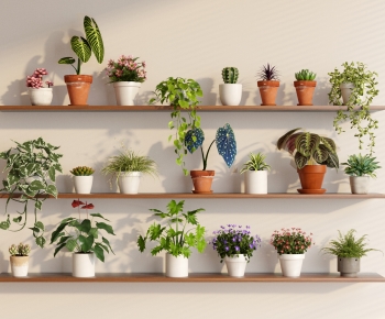 Modern Potted Green Plant-ID:270580057