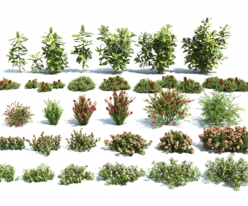 Modern Shrubbery-ID:744817029