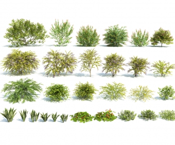 Modern Shrubbery-ID:648810979