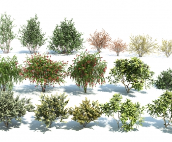 Modern Shrubbery-ID:129375938