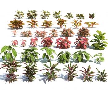 Modern Shrubbery-ID:111270902