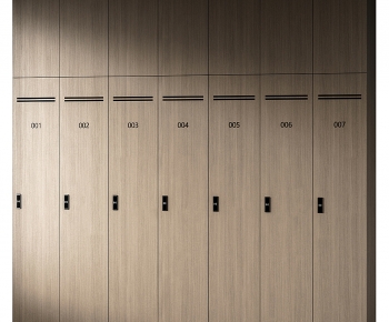 Modern Public Cabinet/lock Cabinet-ID:954289915